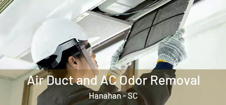  Air Duct and AC Odor Removal Hanahan - SC
