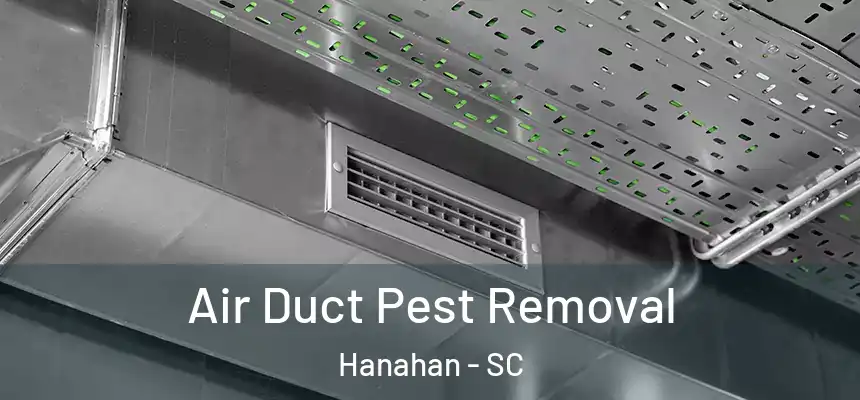  Air Duct Pest Removal Hanahan - SC
