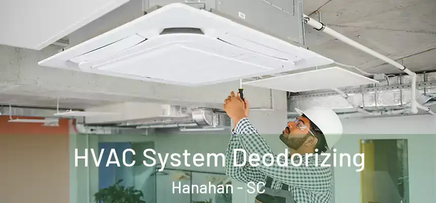  HVAC System Deodorizing Hanahan - SC