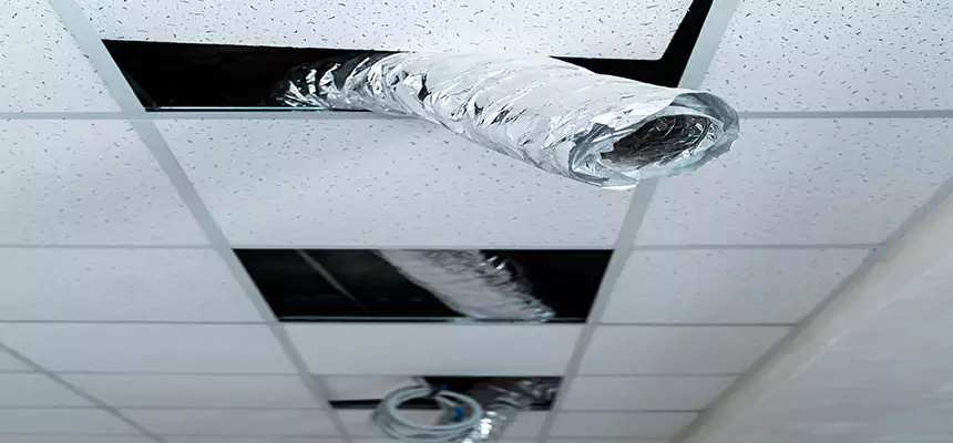 Affordable HVAC Sanitizing After Pest Removal in Hanahan