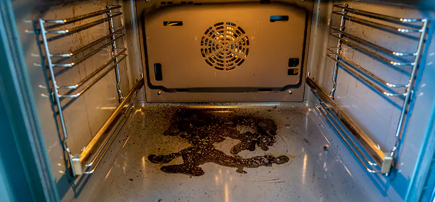 Our Dryer Vent Mold Cleaning Services in Hanahan, SC