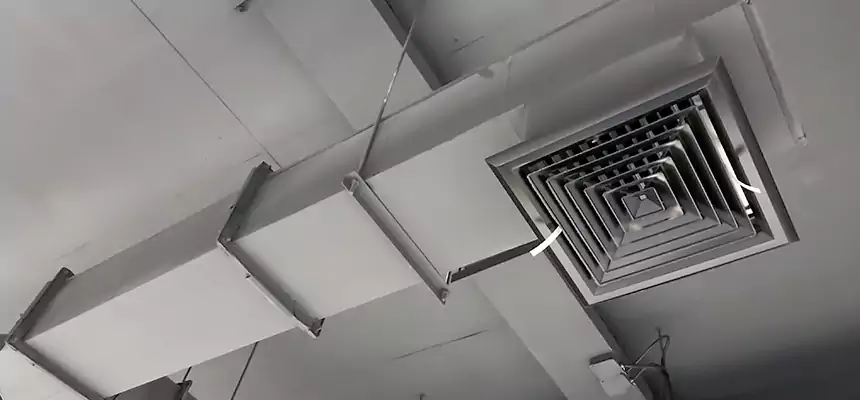 Our Rodent Droppings In Vents Services in Hanahan, SC