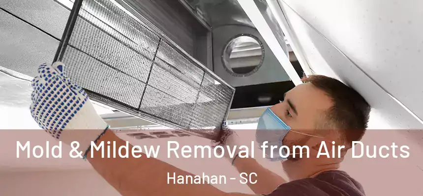  Mold & Mildew Removal from Air Ducts Hanahan - SC