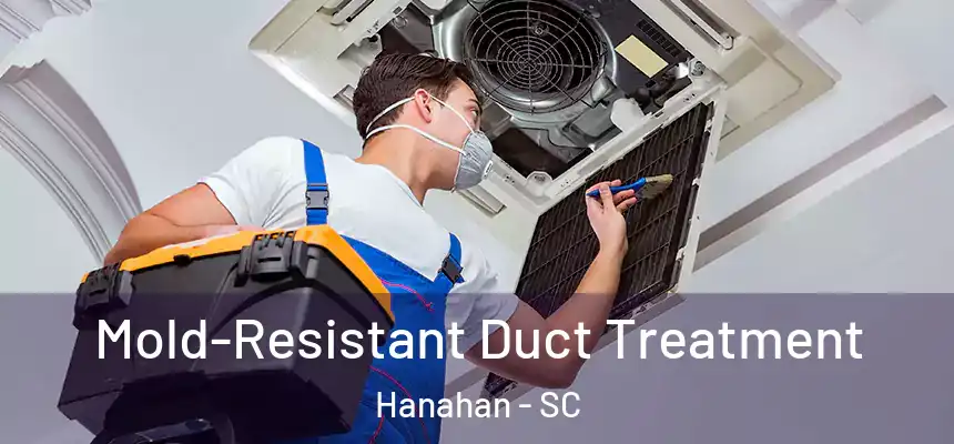  Mold-Resistant Duct Treatment Hanahan - SC