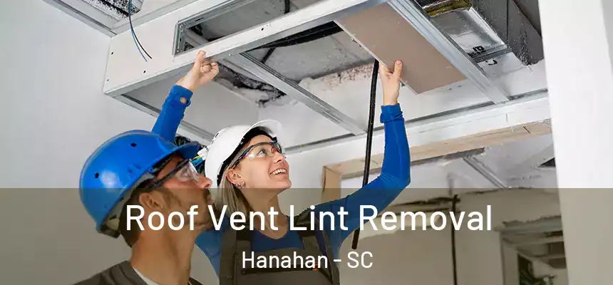  Roof Vent Lint Removal Hanahan - SC