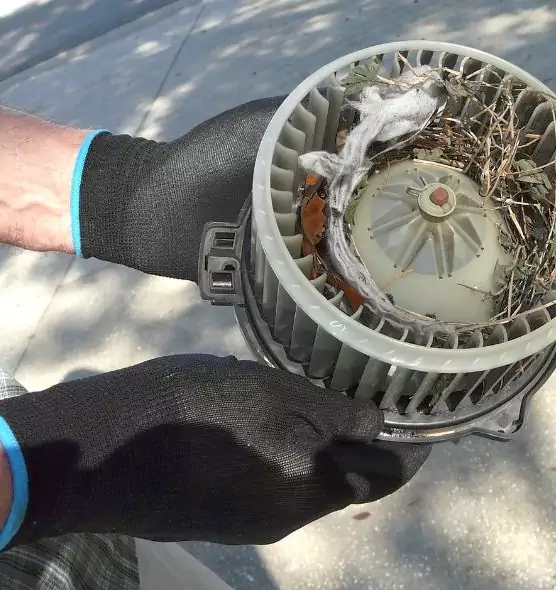 About Air Duct Rat Removal in Hanahan, SC