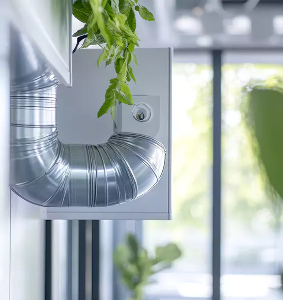 Professional Eco-Safe Dryer Vent Cleaning in Hanahan, SC