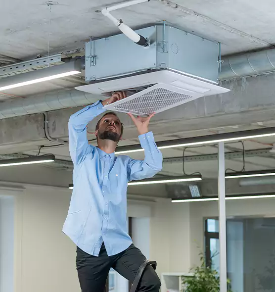 Advanced Rodent Droppings In Vents in Hanahan, SC