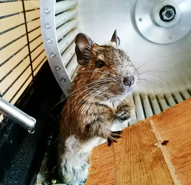 Why Homeowners & Businesses Trust Us Hanahan, SC