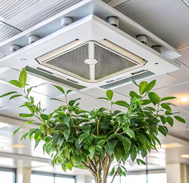 Why Homeowners & Businesses Trust Us in Hanahan, SC