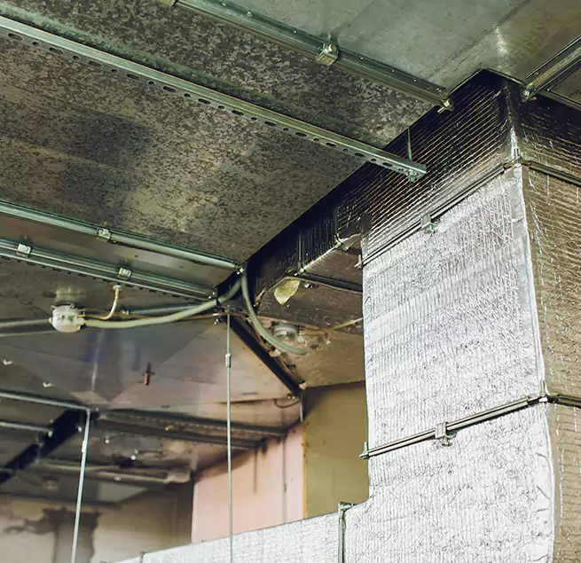 Why Homeowners & Businesses Trust Us in Hanahan, SC?