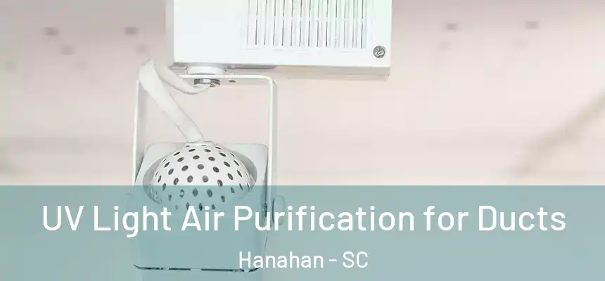  UV Light Air Purification for Ducts Hanahan - SC